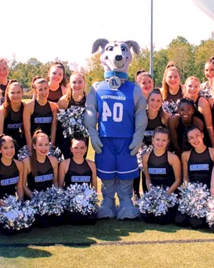 Assumption College Greyhounds Worcester