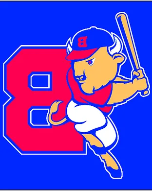 Buffalo Bisons Worcester
