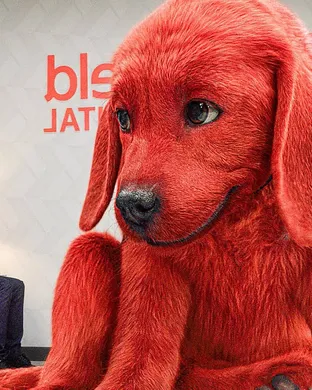 Clifford The Big Red Dog Boston
