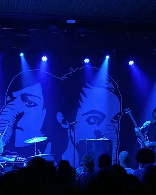 Death From Above 1979 Allston