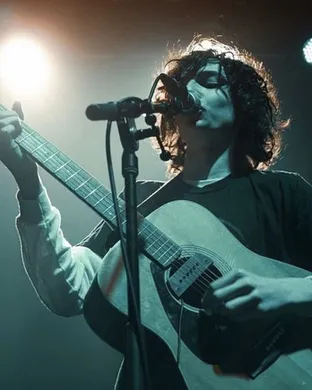 Finn Wolfhard