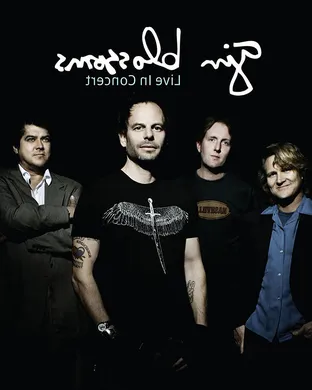 Gin Blossoms Boston