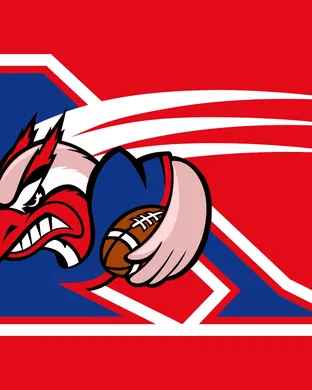 Montreal Alouettes Hamilton