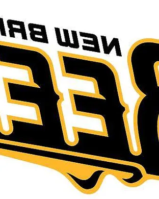 New Britain Bees Nashua