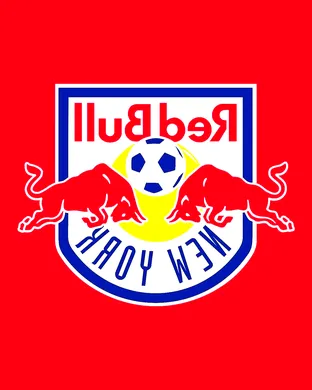New York Red Bulls Foxborough