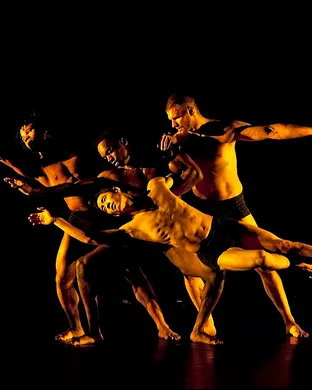 Pilobolus Worcester
