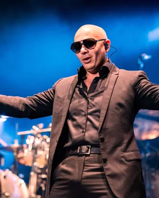 Pitbull Mansfield