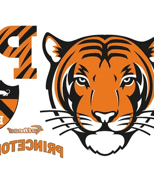Princeton Tigers Allston