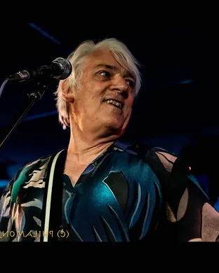 Robyn Hitchcock Allston
