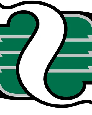 Saskatchewan Roughriders Hamilton
