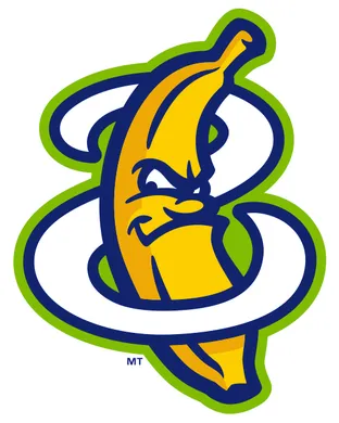 Savannah Bananas Foxborough