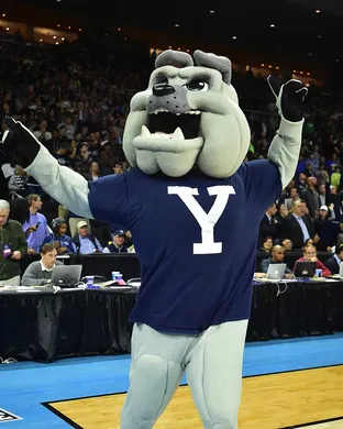 Yale Bulldogs Worcester